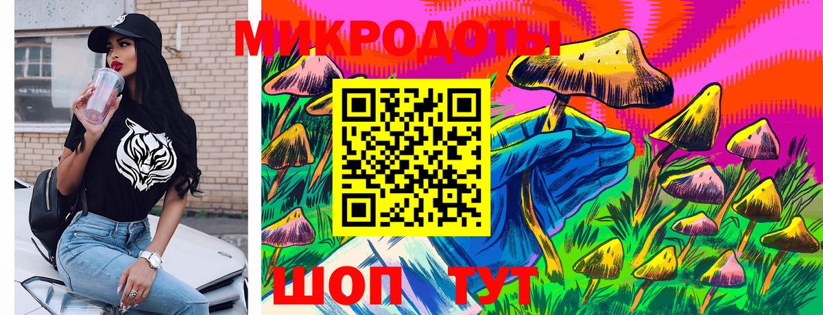 Псилоцибиновые грибы Psilocybe Зеленокумск