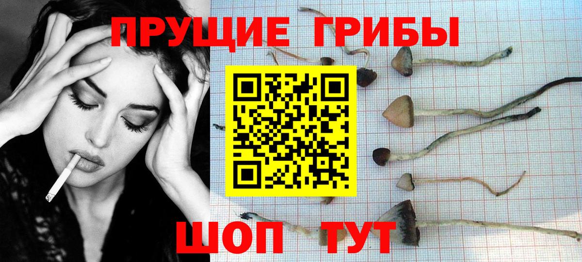 Галлюциногенные грибы Cubensis  Вход с VPN  Зеленокумск 